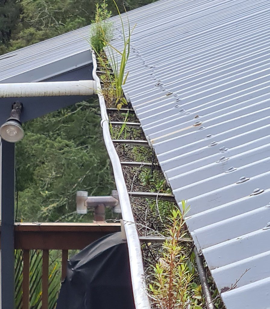 Gutter Clean Auckland & North Shore Clear Blocked Gutters
